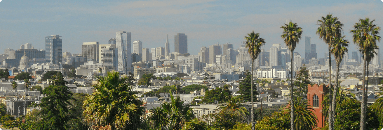 People relaxing on a sunny grassy hill in a park with palm trees, overlooking the San Francisco skyline and waterfront in the distance.