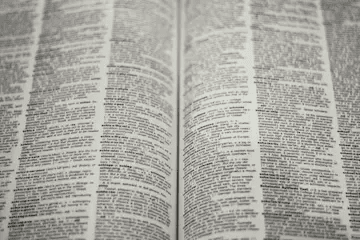 How LILT Helps Foundational AI Models Become Multilingual